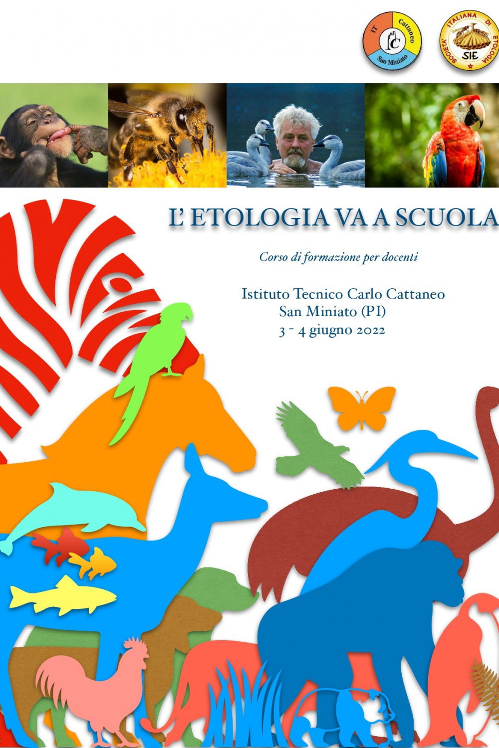 immagini di piccoli animali colorati