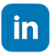 icona linkedin